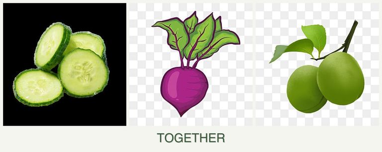 Can you plant cucumbers, beets and plums together?