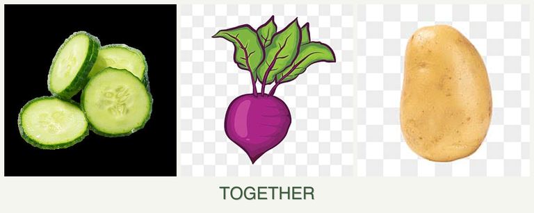 Can you plant cucumbers, beets and potatoes together?