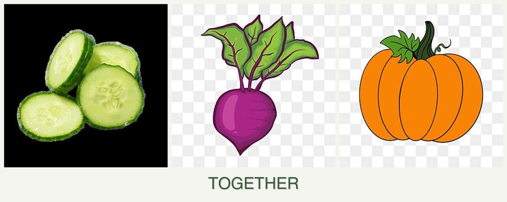 Can you plant cucumbers, beets and pumpkin together?
