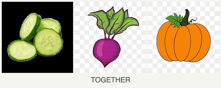 Can you plant cucumbers, beets and pumpkin together?