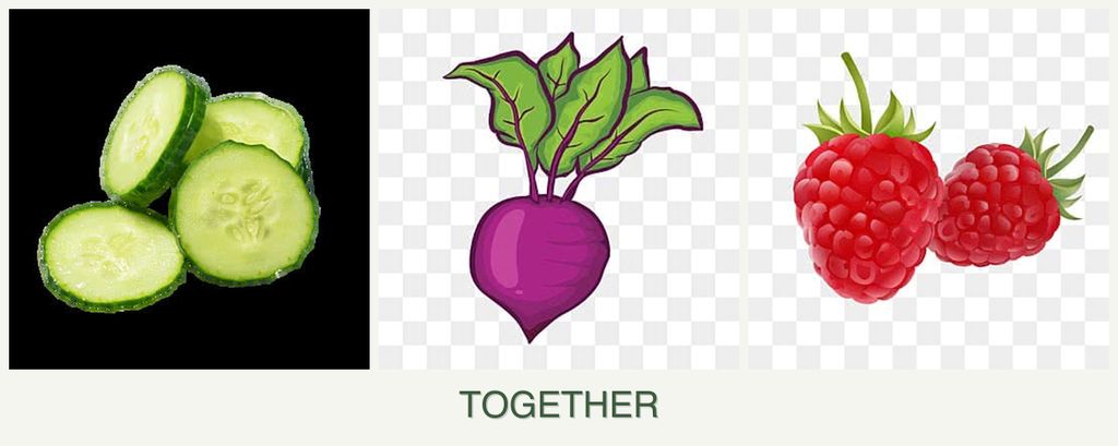 Can you plant cucumbers, beets and raspberries together?