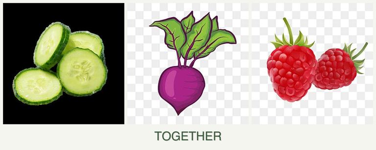 Can you plant cucumbers, beets and raspberries together?