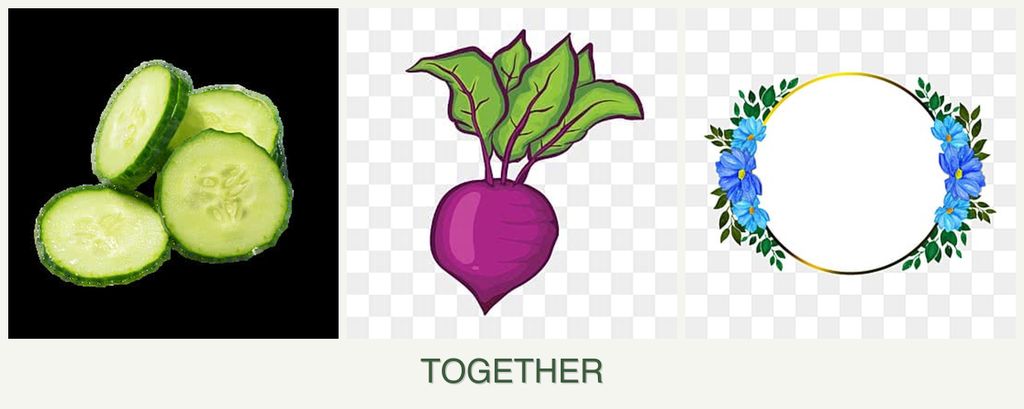 Can you plant cucumbers, beets and zinnias together?