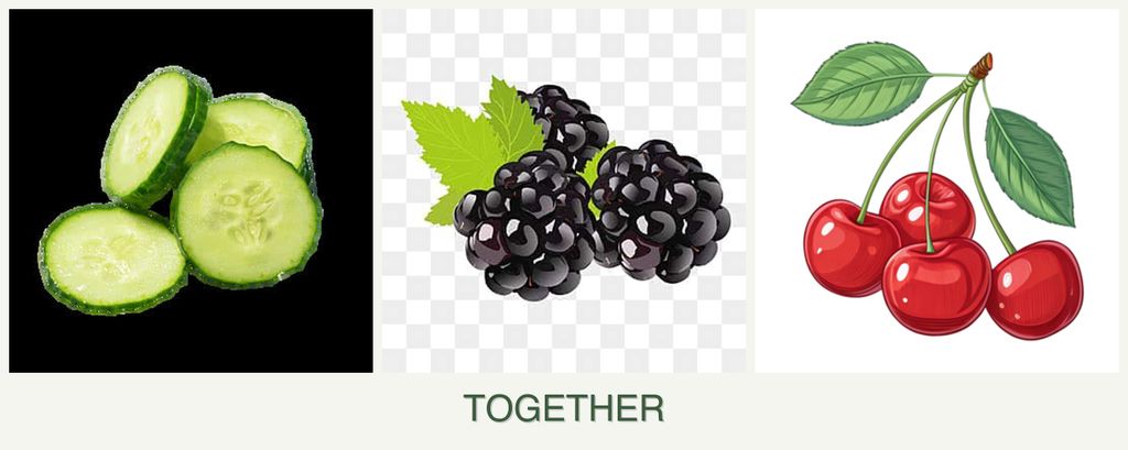 Can you plant cucumbers, blackberries and cherries together?
