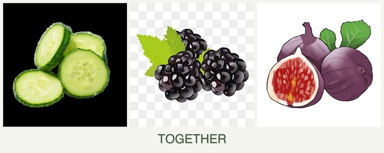 Can you plant cucumbers, blackberries and figs together?