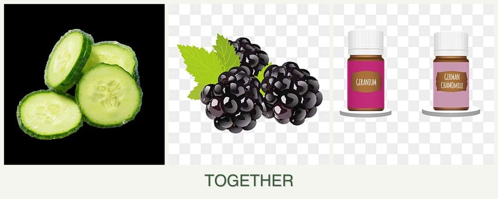 Can you plant cucumbers, blackberries and geraniums together?