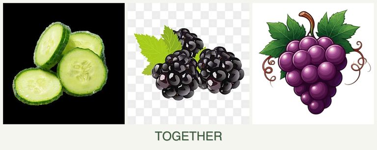 Can you plant cucumbers, blackberries and grapes together?