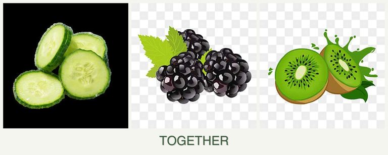 Can you plant cucumbers, blackberries and kiwi together?