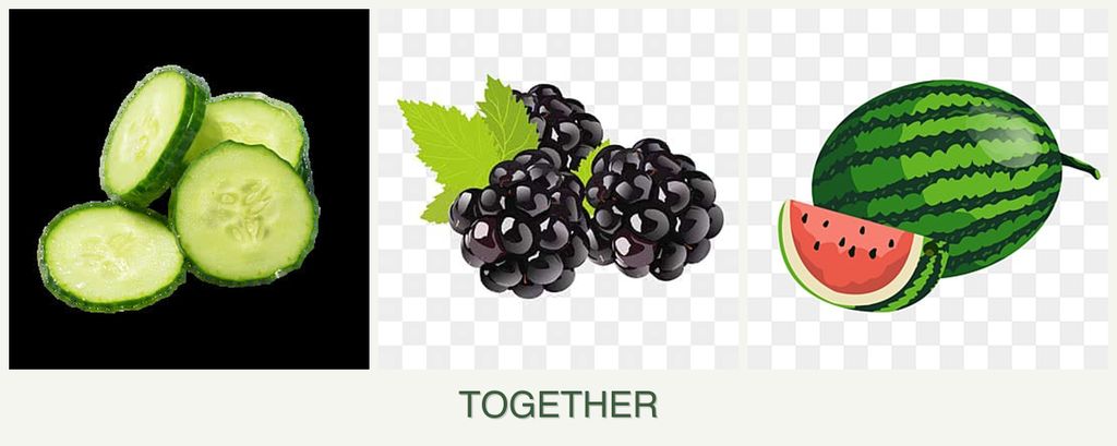 Can you plant cucumbers, blackberries and melons together?