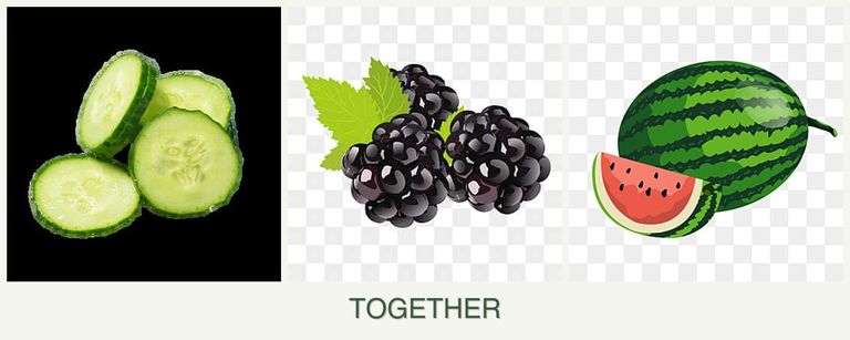Can you plant cucumbers, blackberries and melons together?