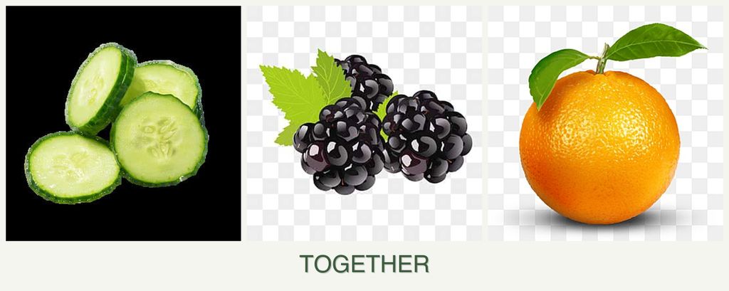 Can you plant cucumbers, blackberries and oranges together?