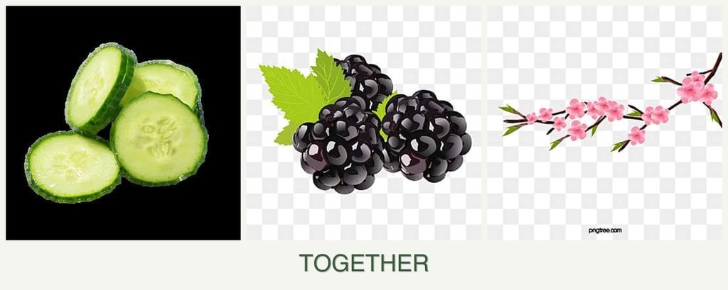 Can you plant cucumbers, blackberries and peaches together?