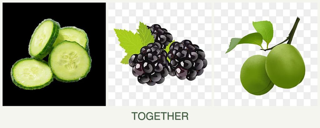 Can you plant cucumbers, blackberries and plums together?