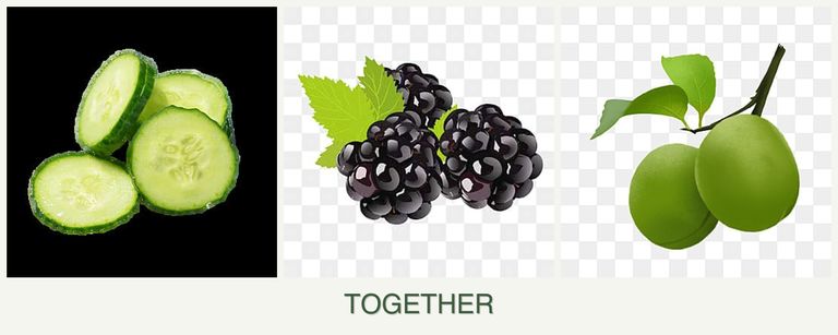Can you plant cucumbers, blackberries and plums together?