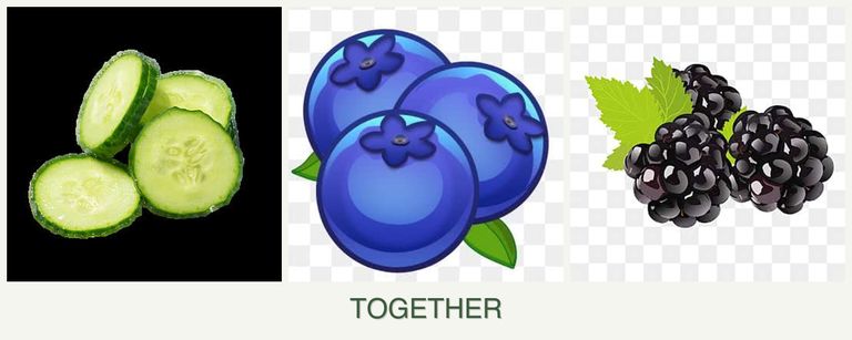 Can you plant cucumbers, blueberries and blackberries together?