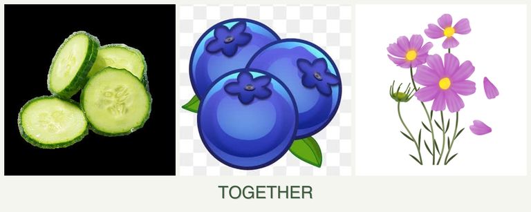 Can you plant cucumbers, blueberries and cosmos together?