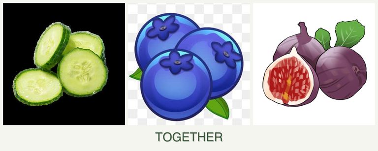 Can you plant cucumbers, blueberries and figs together?