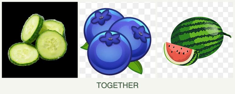 Can you plant cucumbers, blueberries and melons together?