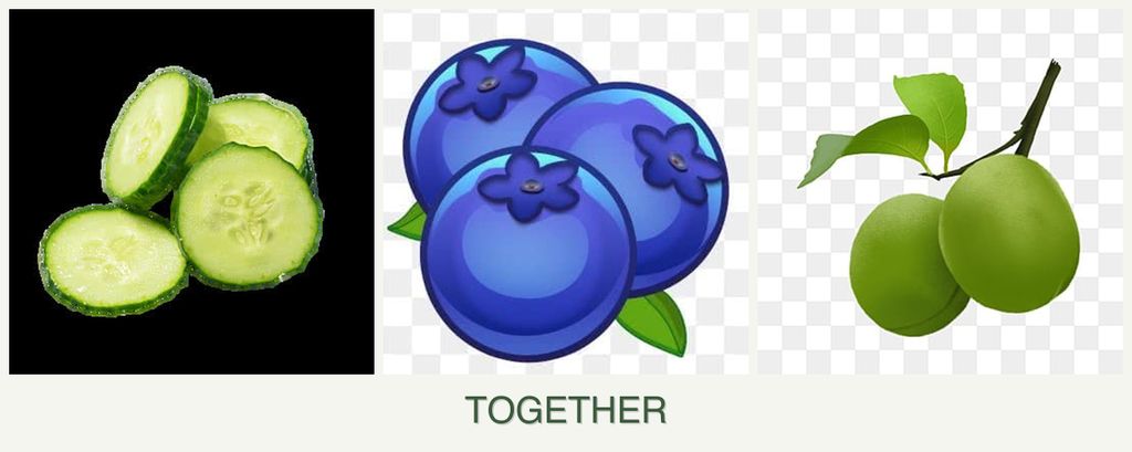 Can you plant cucumbers, blueberries and plums together?