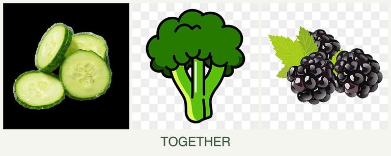 Can you plant cucumbers, broccoli and blackberries together?