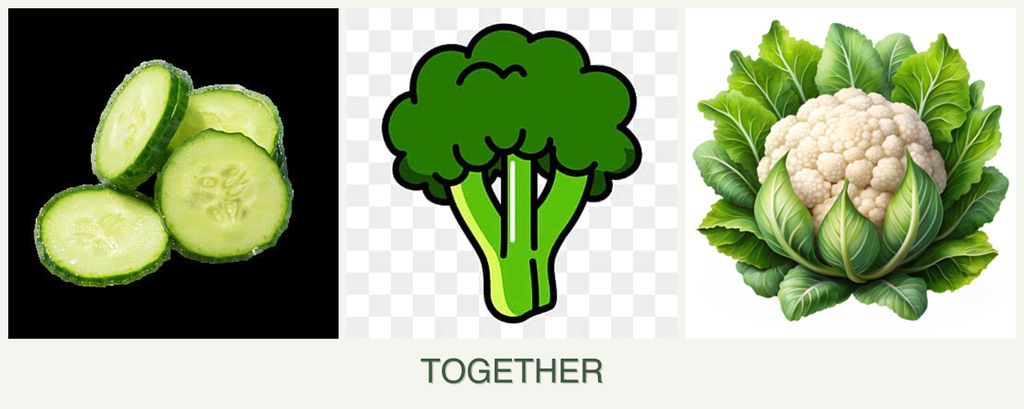 Can you plant cucumbers, broccoli and cauliflower together?