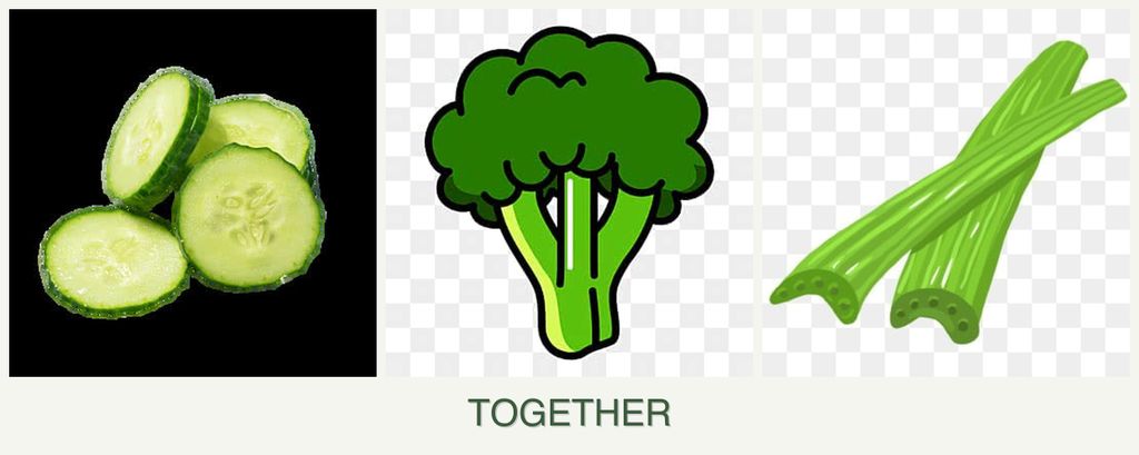 Can you plant cucumbers, broccoli and celery together?