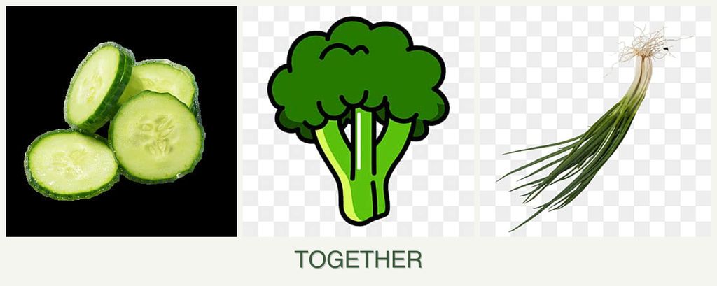 Can you plant cucumbers, broccoli and chives together?