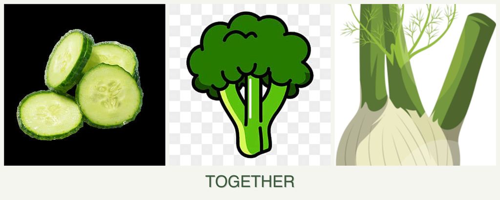 Can you plant cucumbers, broccoli and fennel together?