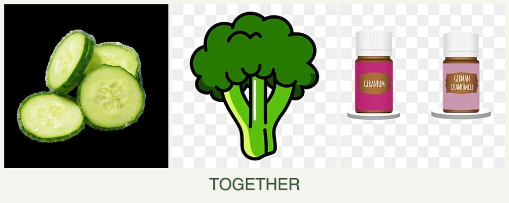 Can you plant cucumbers, broccoli and geraniums together?