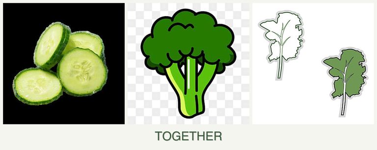 Can you plant cucumbers, broccoli and kale together?