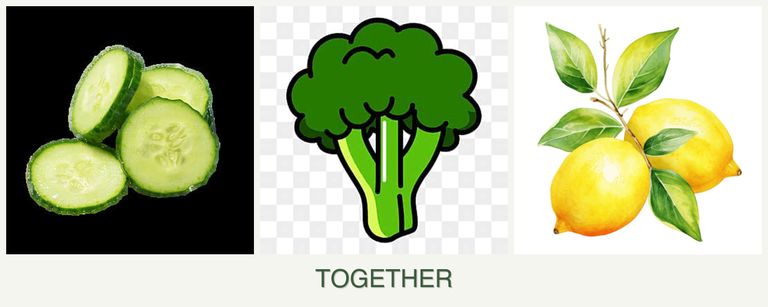 Can you plant cucumbers, broccoli and lemons together?
