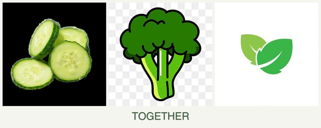 Can you plant cucumbers, broccoli and mint together?