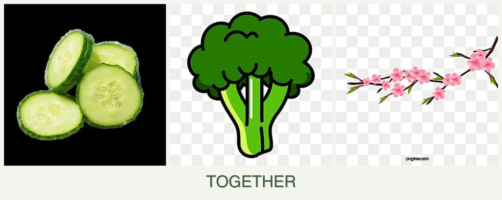Can you plant cucumbers, broccoli and peaches together?