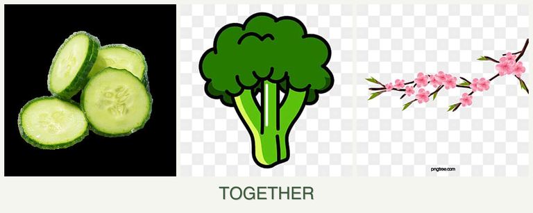 Can you plant cucumbers, broccoli and peaches together?