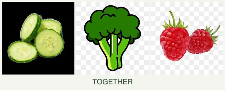 Can you plant cucumbers, broccoli and raspberries together?