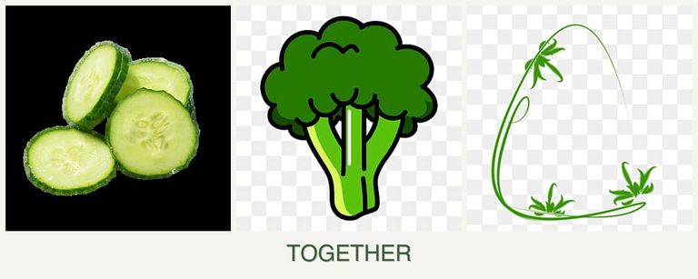 Can you plant cucumbers, broccoli and tarragon together?