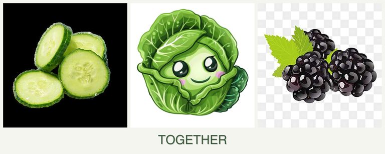 Can you plant cucumbers, cabbage and blackberries together?