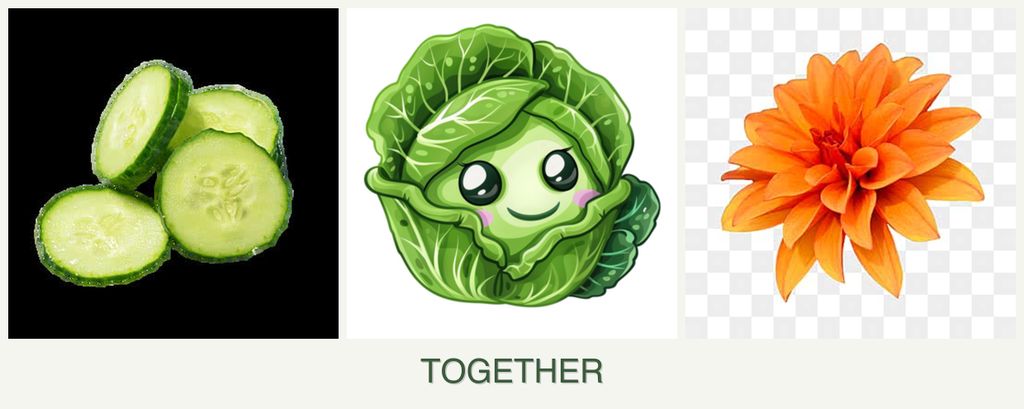 Can you plant cucumbers, cabbage and dahlias together?