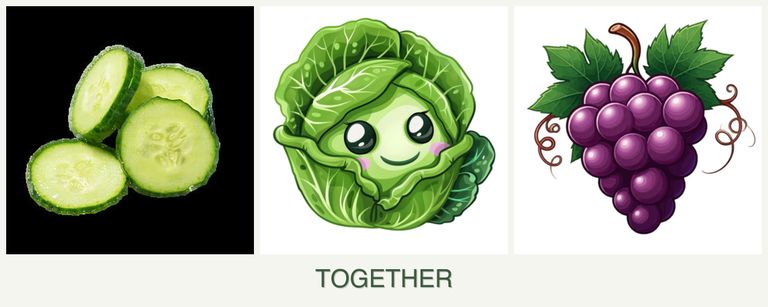 Can you plant cucumbers, cabbage and grapes together?
