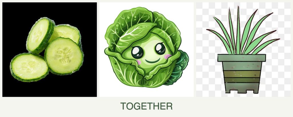 Can you plant cucumbers, cabbage and lemongrass together?