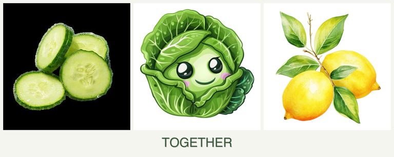 Can you plant cucumbers, cabbage and lemons together?
