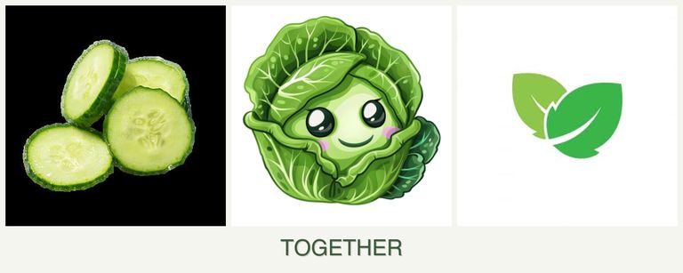 Can you plant cucumbers, cabbage and mint together?