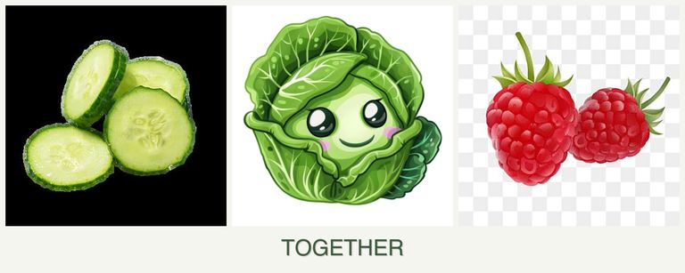 Can you plant cucumbers, cabbage and raspberries together?