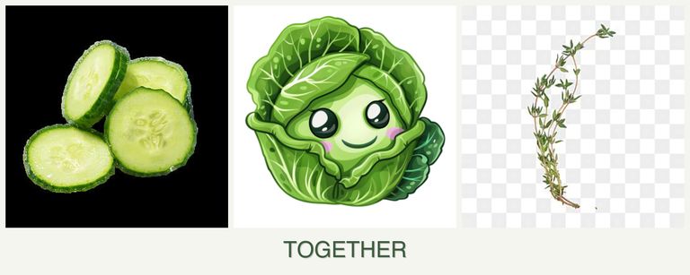 Can you plant cucumbers, cabbage and thyme together?