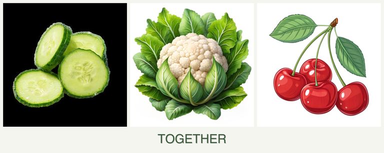 Can you plant cucumbers, cauliflower and cherries together?