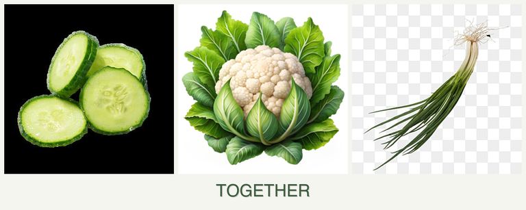 Can you plant cucumbers, cauliflower and chives together?