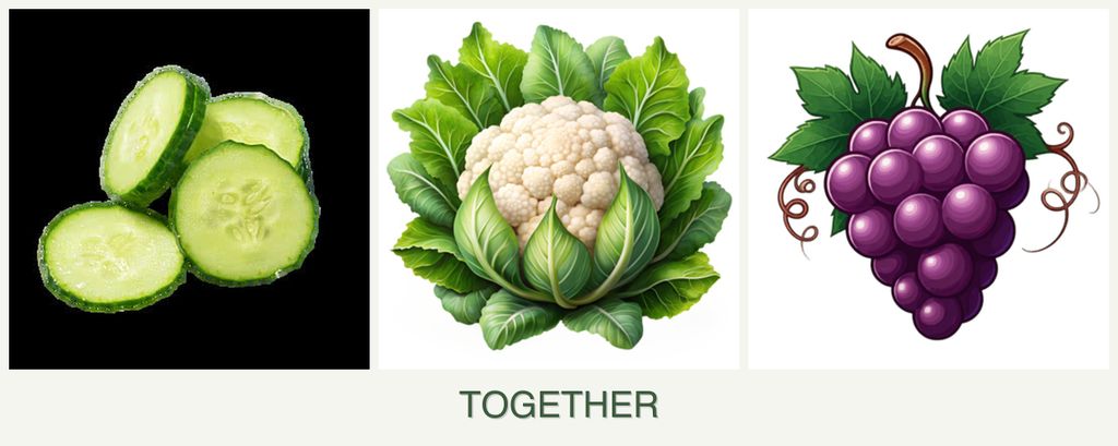 Can you plant cucumbers, cauliflower and grapes together?