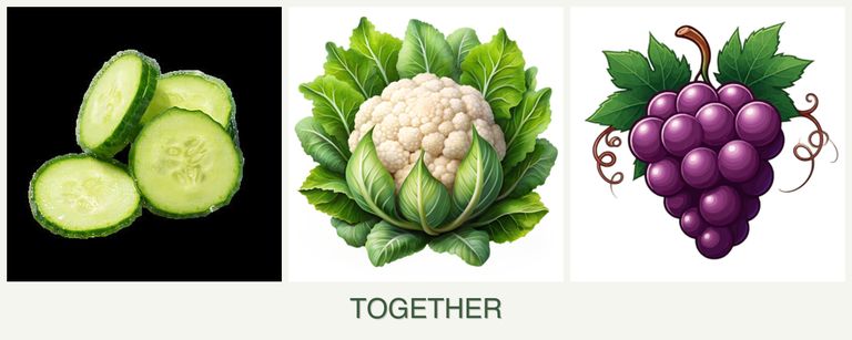 Can you plant cucumbers, cauliflower and grapes together?