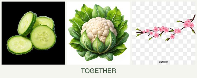 Can you plant cucumbers, cauliflower and peaches together?