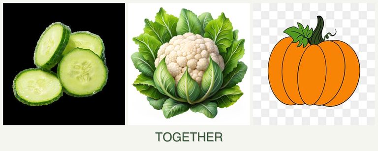 Can you plant cucumbers, cauliflower and pumpkin together?